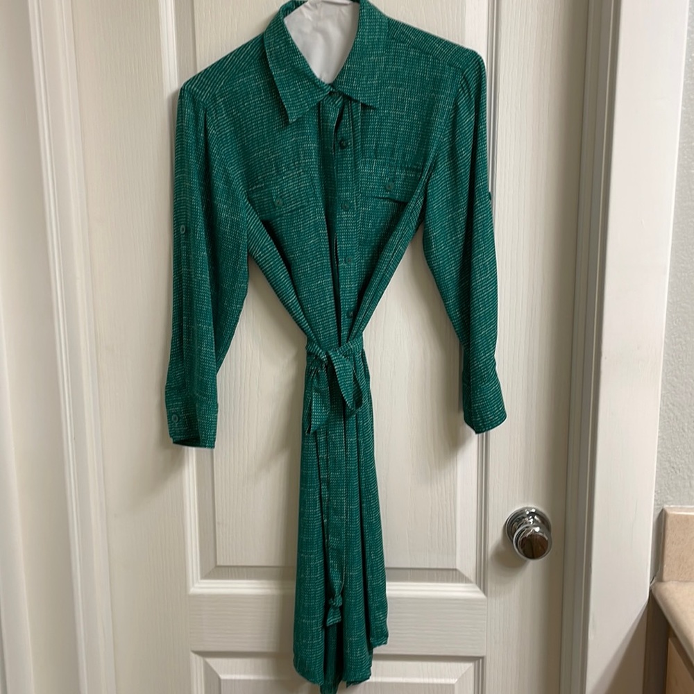 Cabi button down green dress